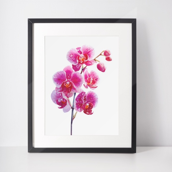 Watercolor Pink Orchids Wall Art Print Unframed - Elegant Floral Serenity - Picture 3 of 6